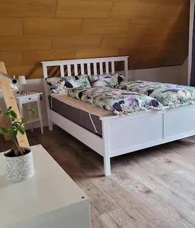 Schwarzwaldmaedel Apartment